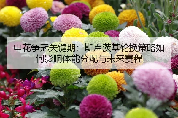 shen-hua-zheng-guan-guan-jian-qi-si-lu-ci-ji-lun-huan-ce-lve-ru-he-ying-xiang-ti-neng-fen-pei-yu-wei-lai-sai-cheng-2-246.jpg